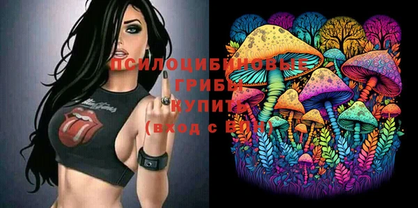 кокаин перу Каменка