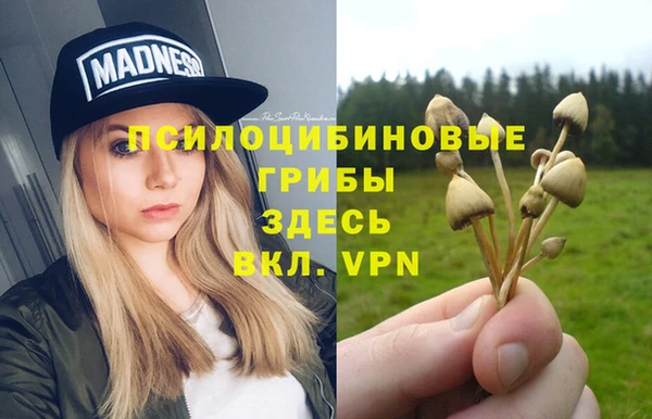 кокаин перу Каменка