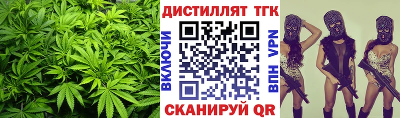 Дистиллят ТГК THC oil  Купить закладки  Кедровый 