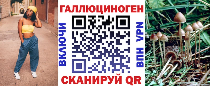 Галлюциногенные грибы мицелий Кедровый