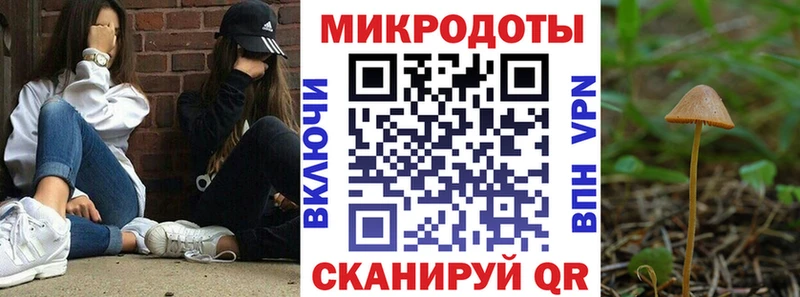 Купить где  Кедровый  Галлюциногенные грибы MAGIC MUSHROOMS 